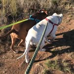 Logan&Harley - @logan_and_harley - Instagram