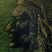 Logan Harmon - Facebook