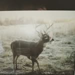 loganblake - @loganharms75 - Instagram
