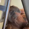 loganharper391 - @loganharper391 - TikTok