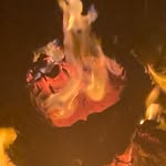 Logan Harrell - @loganharrell41 - Instagram