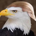 Logan R. Harter - Facebook
