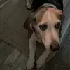 loganhebert - @logan.hebert - TikTok