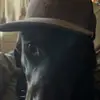 Logan Heims - @loganheims75 - TikTok