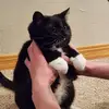 loganheimerl - @logan.heimerl - TikTok