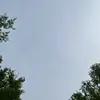 whoelsecan… - @loganheimm - TikTok