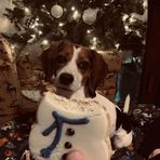 Logan Hendrix - Facebook