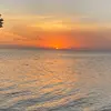 Logan Henke - @gmoney.1154 - TikTok