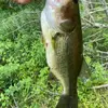 Logan Henning - @logan.henning5 - TikTok