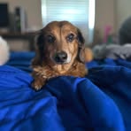 Logan Hensel - Facebook