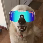 @loganhenson123456 - Instagram