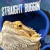 loganhenson319 - @loganhenson319 - TikTok