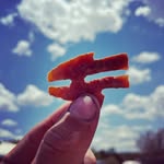 Logan Herring - @logansdigs - Instagram