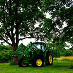 Limousine Breeding Stock - @logan_hills_cattle_company - Instagram