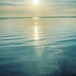Logan Hills - @loganhills28 - Instagram