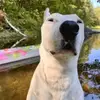Logan Holmes - @logan.holmes5 - TikTok