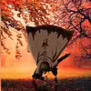 loganholmes129 - @loganholmes129 - TikTok