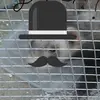Logan horne - @tbob100 - TikTok