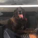 Logan Horner - @logan_horner211 - Instagram
