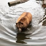 Logan Howlett - @_logan_howlett - Instagram