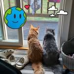 Logan Hoyle - @logan_h112710 - Instagram