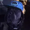 loganschuey0 - @loganschuey0 - TikTok