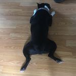 Logan Hutton - @hutton_logan - Instagram