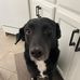 Logan Hutton - Facebook