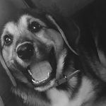 logan - @logan.hutton12 - Instagram