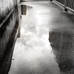 loganirwin - @loganirwinphotos - Instagram