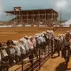 Logan - @loganjohnson097 - TikTok