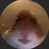 Logan Jorgensen - @loganjorgensen1 - TikTok