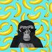 Logan Kaiser - Facebook