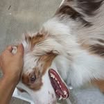Logan Katz - @katzwillam - Instagram