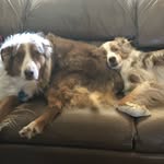 Logan Katz - @williamlkatz - Instagram