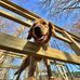Logan Kemmerer - Facebook