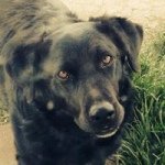 Logan Kempfer - @logankempfer - Instagram