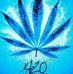 Logan Kern - Facebook
