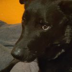 Logan Kirby - @logan.kirby.9847 - Instagram