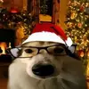 … - @logankish813 - TikTok
