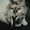 Logan Klein - @817hdje83hdh - TikTok