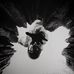 Logan Laing - Facebook