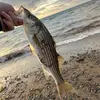 Logan Lake - @logan__lake - TikTok
