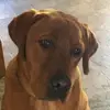 loganlandry346 - @loganlandry346 - TikTok