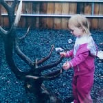 laney alexis ✞ - @laney.logan.13 - Instagram