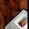 Ra - @logandelaney6 - TikTok