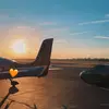 Logan ✈️ - @loganlanzi - TikTok