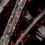 Logan Larkin - @loganlarkinr - Instagram