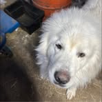 Logan LeClair - Facebook