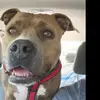 Logan LeClair - @logan.leclair72 - TikTok
